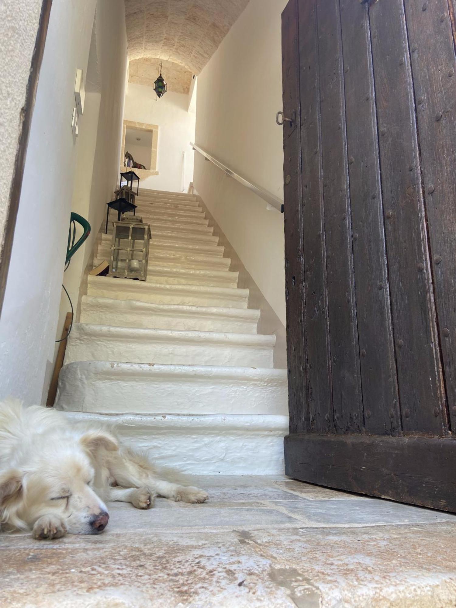 Masseria Conca D'Oro オストゥーニ エクステリア 写真